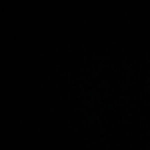 Meet your Posher, Iesha